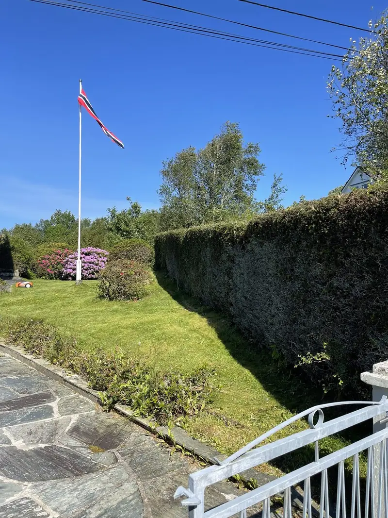 Beskjæring og rydding – etter 3